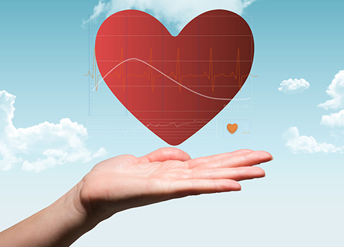 Basic Procedure Wellness Profile