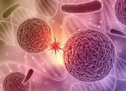 Cancer Wellness Profile - Male