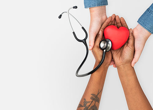 Cuddle and Cure Camp Package 2022