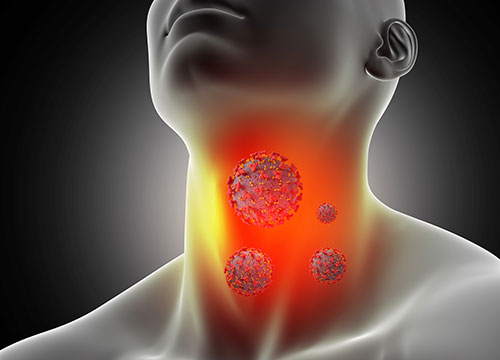 Extended Thyroid Wellness Profile