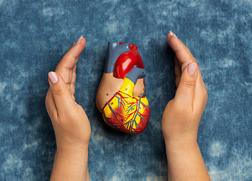 Heart Health Wellness Profile