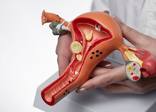 Reproductive Wellness 1.0 Profile